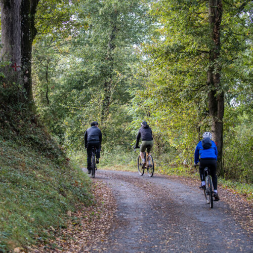 En long, en large et en gravel