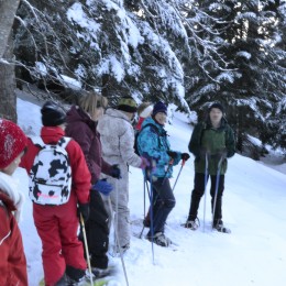 Raquettes à neige
