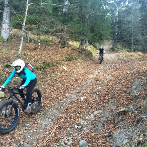 Descente en VTT et en trottinette