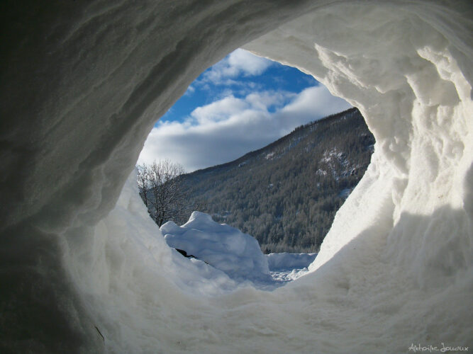 IGLOO