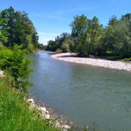 Parcours des berges de la Garonne et ses Frontignes 🚴🏼‍♂️