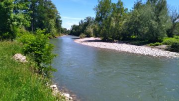 Parcours le long des berges de la Garonne et de ses Frontignes