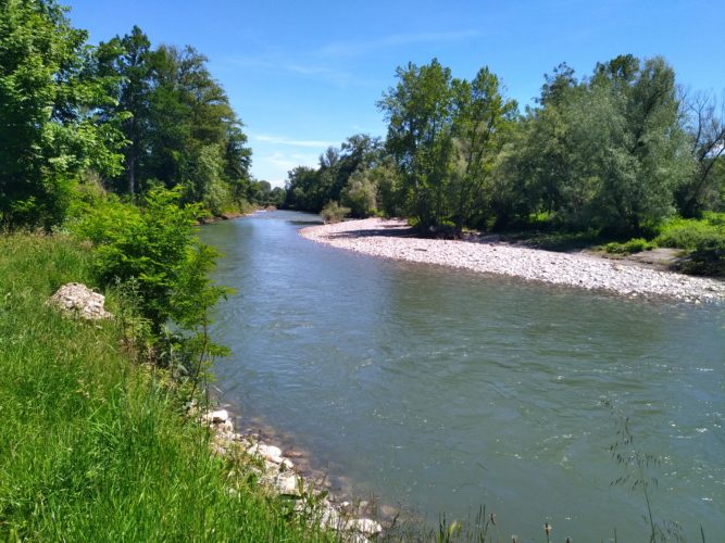 Parcours le long des berges de la Garonne et de ses Frontignes