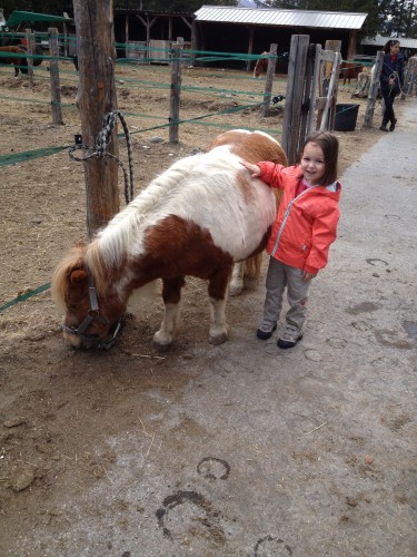 Balade en Poney