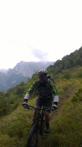 VTT