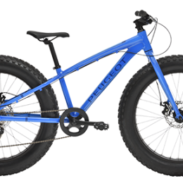 FAT BIKE PEUGEOT 24 POUCES