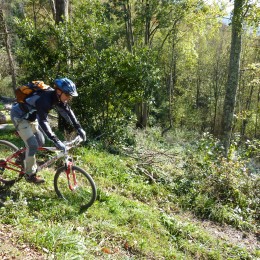 descente VTT