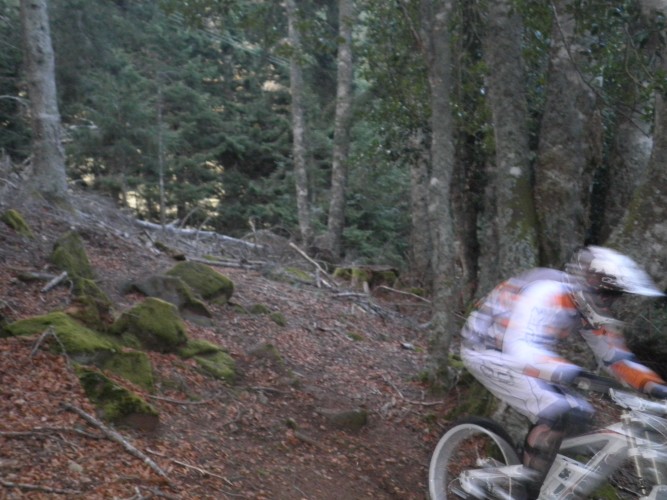 VTT FORET DE LA SEUBE