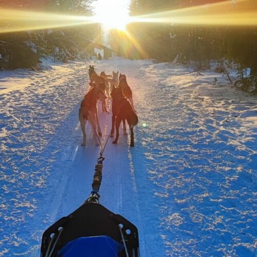 Ambiance Grand Nord au Mourtis