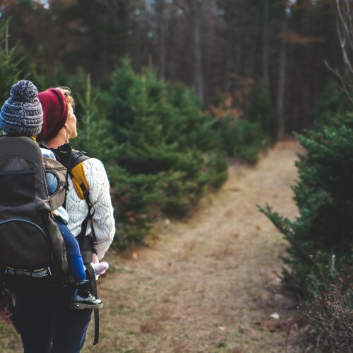 Randonnées thématique à la journée 🏞️