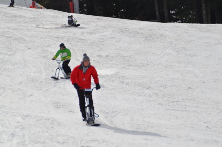 SNOWSCOOT
